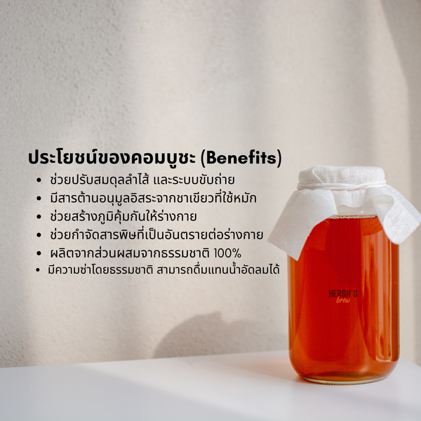 คอมบูชะมีประโยชน์อย่างไร (Benefits)