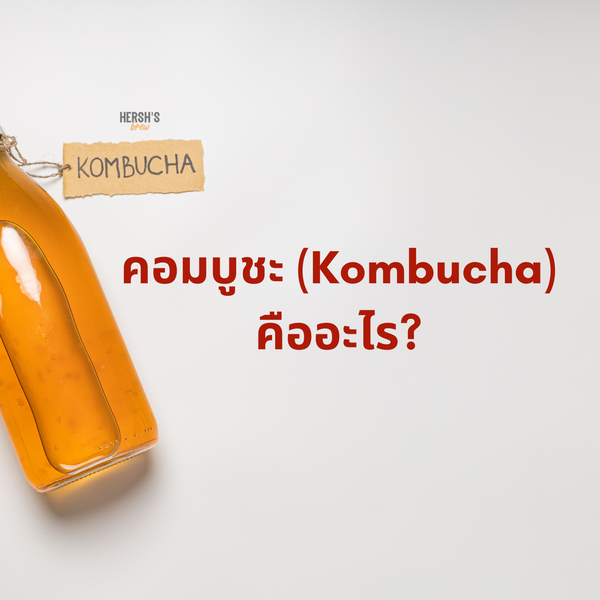 คอมบูชะ (Kombucha) คืออะไร?